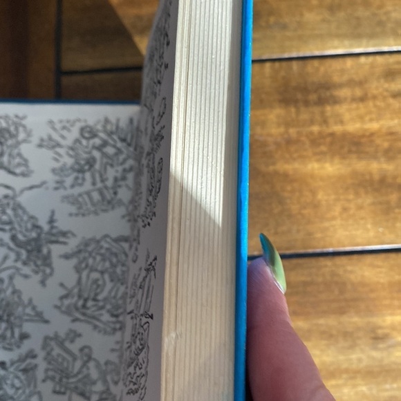 The hardy boys book - Picture 5 of 7